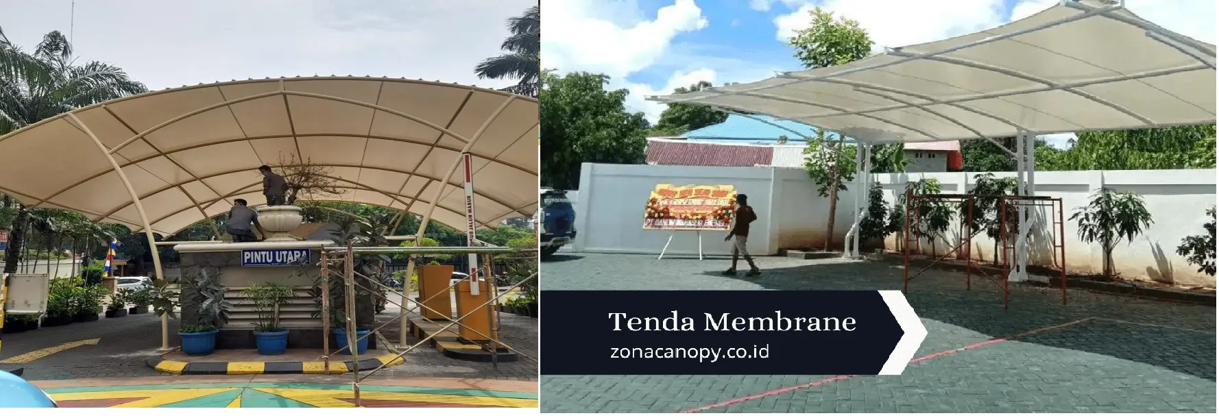 Canopy Membrane parung